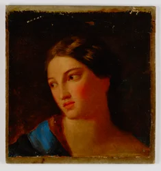 Testa di una donna