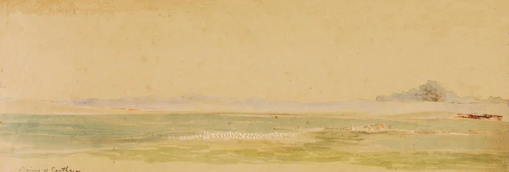 Pianure di Cartagine