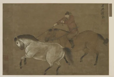 Un cavaliere che cattura un cavallo con il lazo