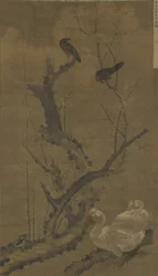 Mynahs, oche e pruno in fiore