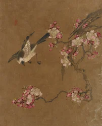 Dieci immagini di uccelli e fiori
