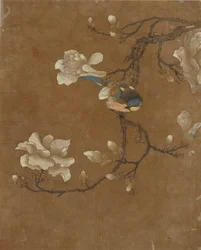 Dieci immagini di uccelli e fiori