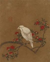 Dieci immagini di uccelli e fiori