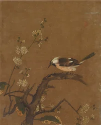 Dieci immagini di uccelli e fiori
