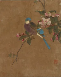 Dieci immagini di uccelli e fiori