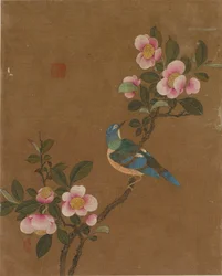 Dieci immagini di uccelli e fiori