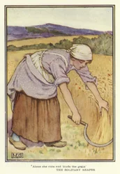 La mietitrice solitaria