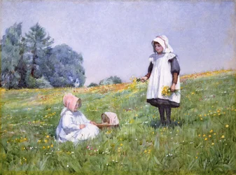 Ranuncoli e margherite