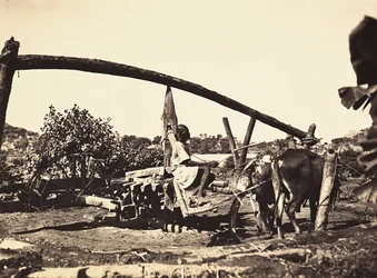 Costruire un Impero nell