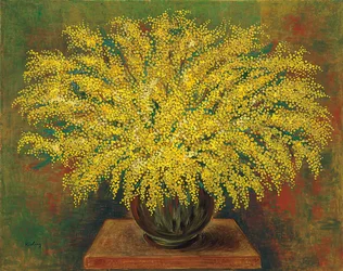Mimose