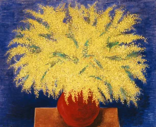 Vaso di mimose