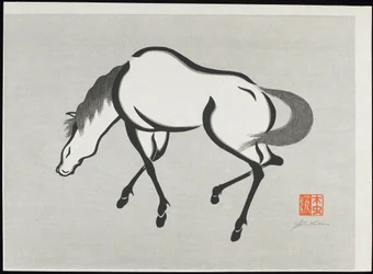 Cavallo (B)