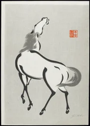 Cavallo (C)
