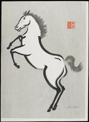 Cavallo (D)