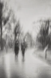 Una passeggiata onirica nel parco