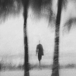 Una passeggiata da sogno lungo la costa