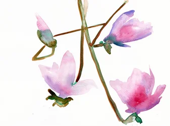 Magnolia 1, 2022
