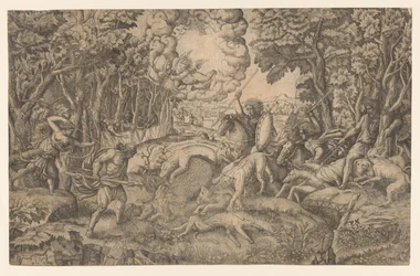 Caccia al cinghiale calidonio