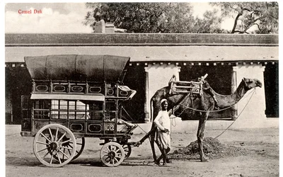 Camel Dak, c.1911-12 (foto seppia)