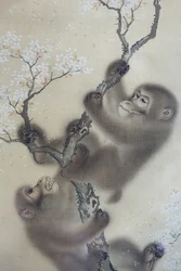 Scimmie in un ciliegio in fiore, 1 di 2, Mori Sosen, Giappone, periodo Edo, inizio 1800, inchiostro e colore su seta - Museo Arthur M. Sackler, Università di Harvard - DSC01127