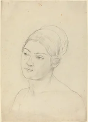 Testa di una Giovane Donna