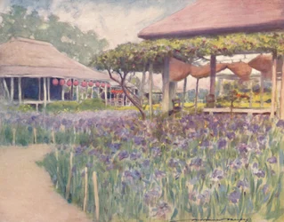 Un giardino di iris, 1903