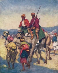 Cammelli di Mysore, 1903