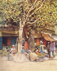 Mezzogiorno, Delhi, 1905