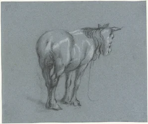 Studio di un cavallo da dietro, verso destra (serie Cavalli da lavoro in piedi)
