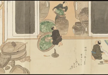 Illustrazioni della produzione di tè Uji