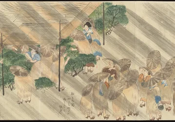 Illustrazioni della produzione di tè Uji