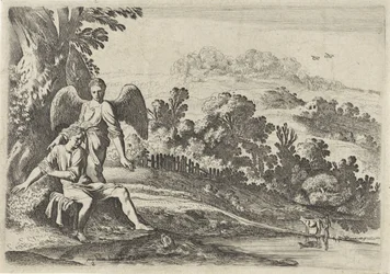 Tobia spaventato dal pesce