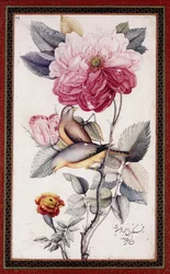 Gul-o Bulbul, c. 1849-50