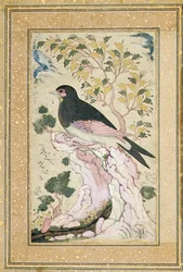 Uccello posato su una roccia, 1684