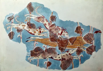 Arte micenea: scena di caccia, cani inseguono un cinghiale. Frammento di affresco dal palazzo di Tirinto e ricostruzione