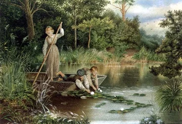 Raccolta di gigli