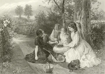 Una festa di ciliegie