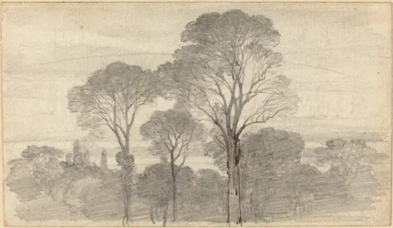 Paesaggio serale con alberi alti