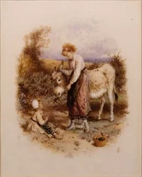 Nutrire l