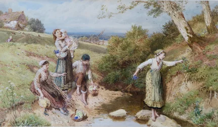 Raccolta di primule e fiori di primavera