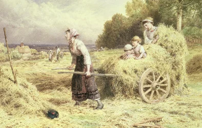 Tempo di fieno