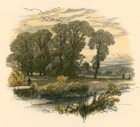 Campane del sabato