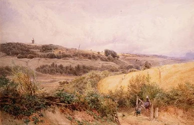 Paesaggio estivo vicino a Haslemere, Surrey