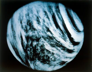 Venere