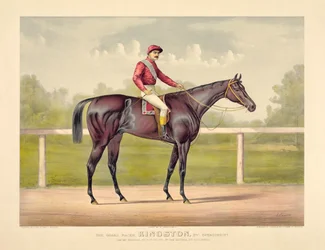 Il grande corridore Kingston di Currier & Ives
