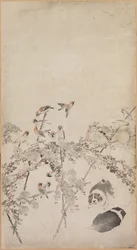 Cuccioli, Passeri e Crisantemi, 1754-1799