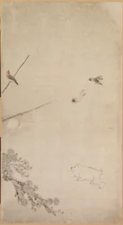 Cuccioli, Passeri e Crisantemi, 1754-1799
