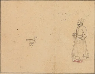 Raja Balwant Dev Singh e un cigno, c.1750-55