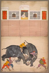 Due elefanti che combattono in un cortile davanti a Muhammad Shah, c. 1730-40