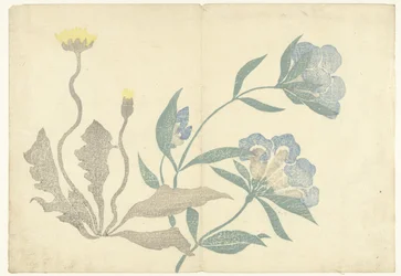 Tarassaco e fiori blu